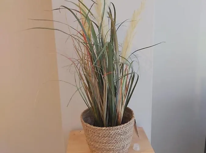 Forum Aan Zee Apartment *